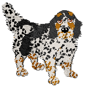 Profile image of Frogbowl Blooming Love