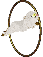 Profile image of Hollow Kingdom Easter Catch @ Coriander