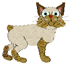 Frogbowl Beginner Witch — “Coco”