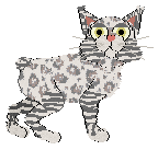 Frogbowl Hat Maker — “Qilfrey”