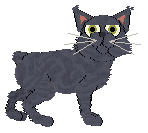 Frogbowl Up In The Clouds — “Tetia”