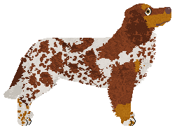 Dragosani ESY FLORESY — “ESS”