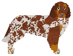 Dragosani ESY FLORESY — “ESS”