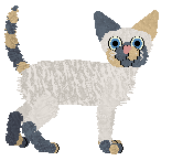 Starling Nova Current — “Nova”