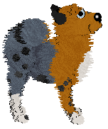 Fanaberia A Sorry Excuse for a Vampire — “Spike”