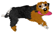 Fanaberia Zwykły Wiejski Kajtuś — “Kajtuś”