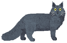 Silvervine Maine Abbot — “Abbot”