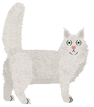 Silvervine Maine Action — “Action”