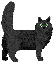 Silvervine Maine Addison — “Addison”