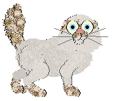 Cargo/Frogbowl Fiddle Dee Dee — “Mairead”