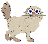 Frogbowl Rock N Roll — “Tavis”