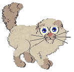 Profile image of Frogbowl Rock N Roll