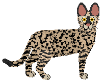 Macavity Lions Gone and Come — “Ventress”