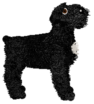 Filthy's Black Banner — “Banner”