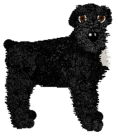 Profile image of Filthy's Black Banner