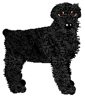 Filthy's Obsidian Court — “Sidra”