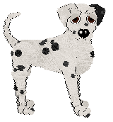 Confetti's Flowers for a Lady — “Azalea”