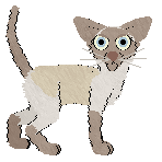 Filthy's Oracle of the Sapphire Temple — “Oracle”