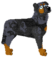 Filthy's Velvet Fang — “Fang”