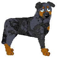 Profile image of Filthy's Velvet Fang