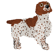 Pendragon's Off And Running — “Chimes”