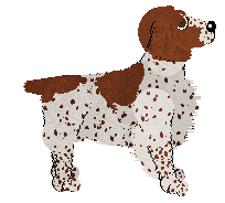 Pendragon's Off And Running — “Chimes”