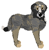 Profile image of Filthy's Fogbound Monarch