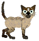 Profile image of FK/Clyde's Quality Time