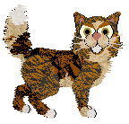 PDH's Good Vibes — “Carbon”