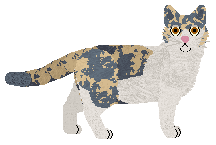 Profile image of Fire's Sadder But Wiser