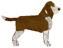 Frogbowl Stable Sort — “Huck”