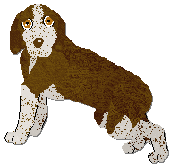 Profile image of Frogbowl Stable Sort