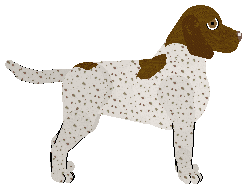 Frogbowl Bread And Butter — “Tea”