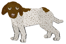 Profile image of Frogbowl Bread And Butter