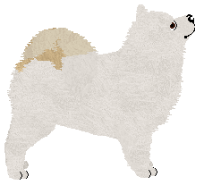 Vanilla's Frosted Tips — “Blondie”