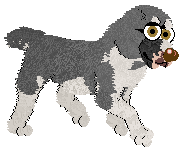 Profile image of Vanillabel's Silver Cipher