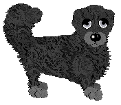 Vanillabel's Night Fowl — “Owl”