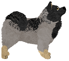 Pogarda Illusion Skipping Frames — “Obraz”