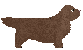 Z Nosem w Trzcinach z Szuwarów — “Słomka”