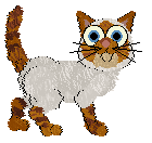 Cargo/Frogbowl Not Too Shabby — “Tabby”