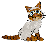 Profile image of Cargo/Frogbowl Not Too Shabby