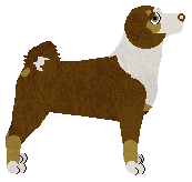 Lala at Tricolor Dream — “Lala”