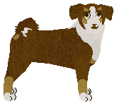 Profile image of Lala at Tricolor Dream