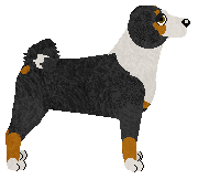 Brainy Brainy at Tricolor Dream — “Brain”