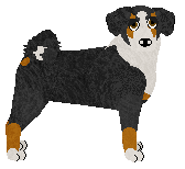 Profile image of Brainy Brainy at Tricolor Dream