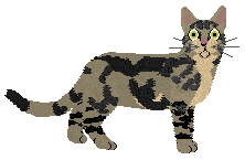 Loveshack Jagger oh Jagger — “Jagger”