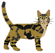 Loveshack Woman Power — “Frajda”