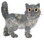 Pendragon's Wisteria Queen — “Rose”