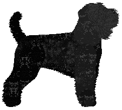 Bearded Force Once Again — “Grucha”