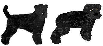 Profile image of Bearded Force Once Again